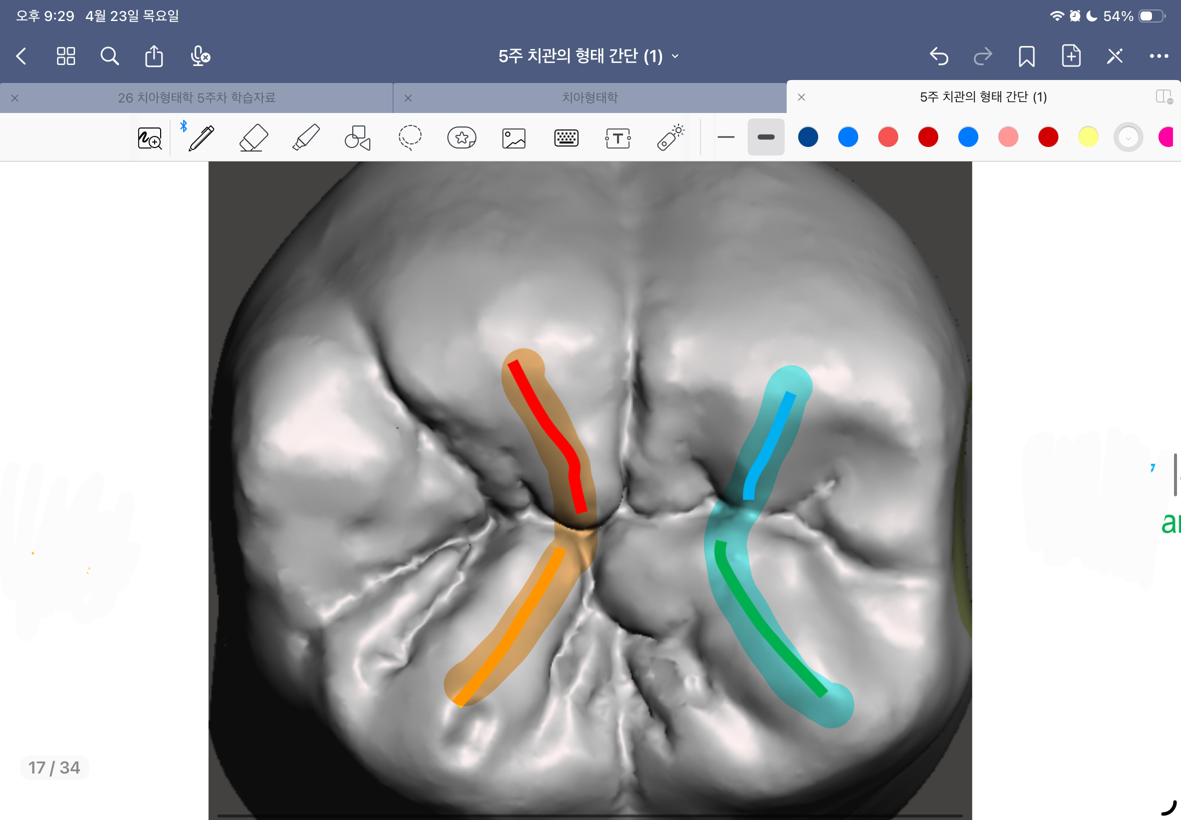 <p>파란색 하이라이트(한글명)</p>