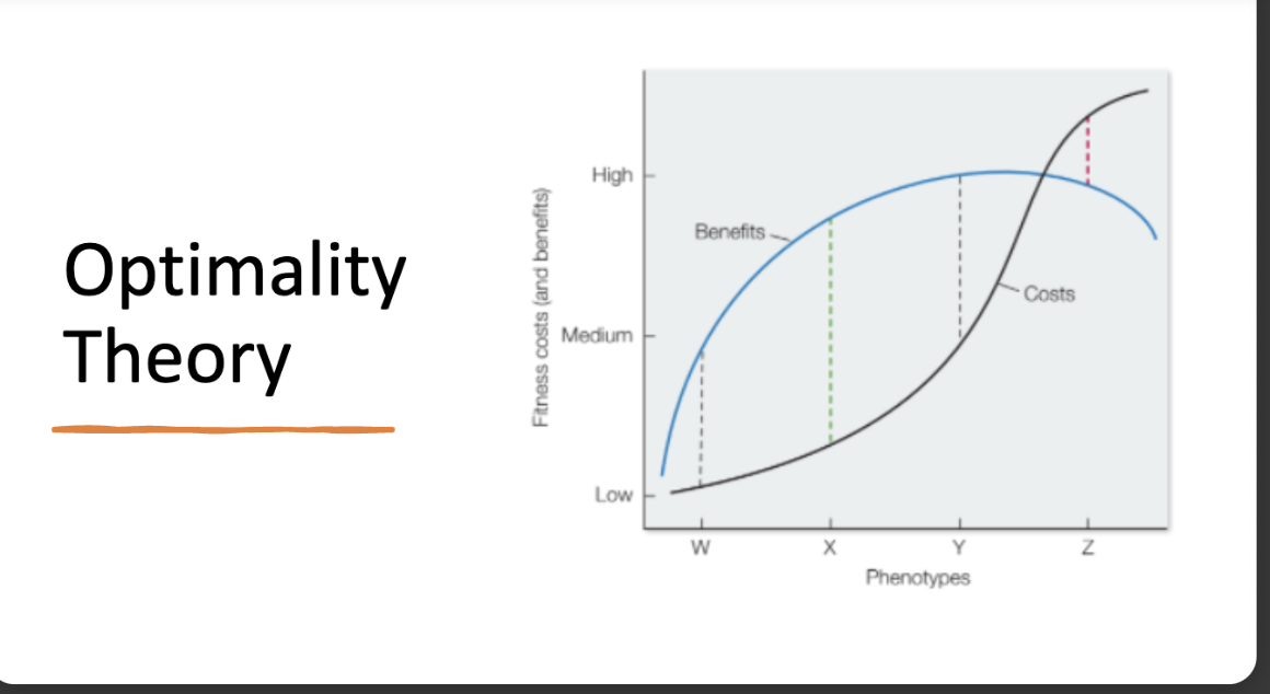<p>info card flip for social defense graph </p>