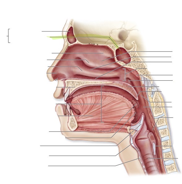 <p>what is this </p>