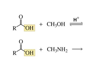 <p>Reactions of carboxylic acids</p>