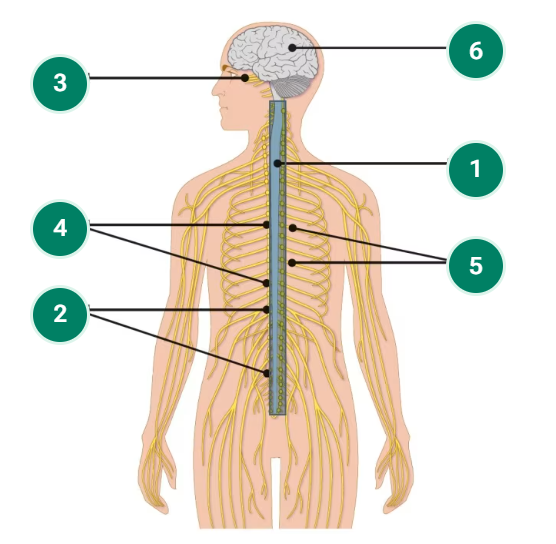 <p>2</p>