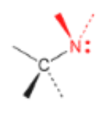 <p>one carbon group</p>
