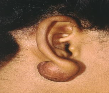 <p>What structure is this?</p>