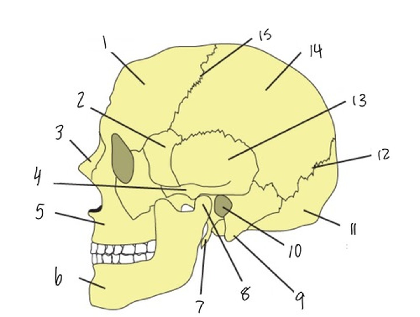 <p>12</p>