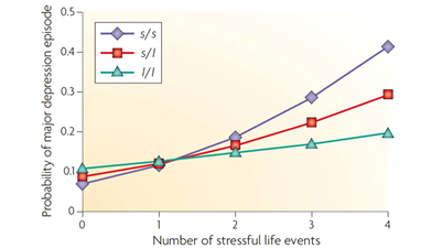 <p>explain what is happening in the diagram</p>
