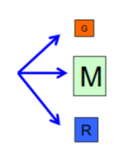 <p>What is an example of an iteroparous organism?</p>