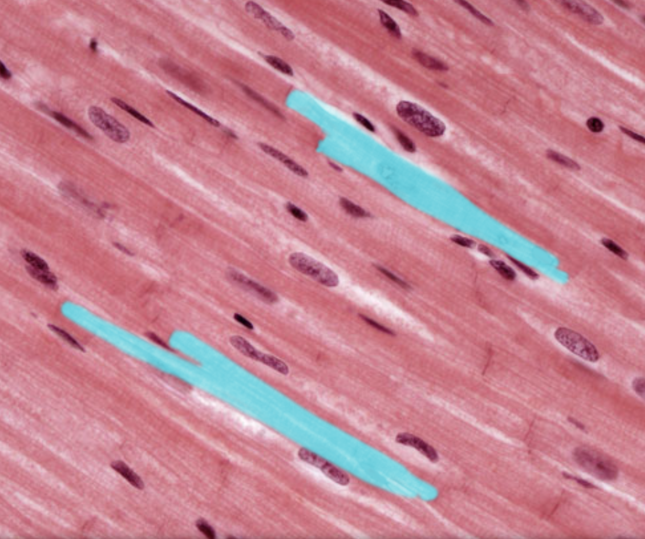 <p>What is highlighted</p>