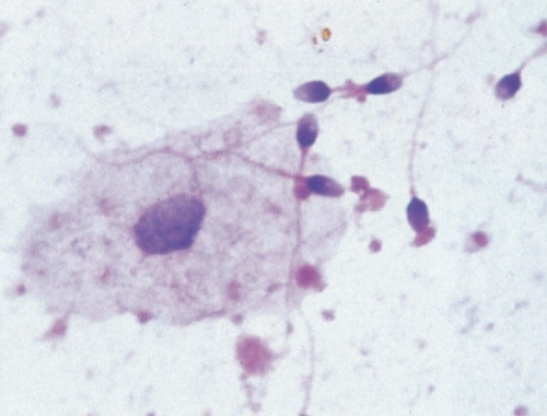 <p>What is this?</p>