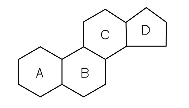 <p>three 6-membered rings attached to a 5-membered ring</p>