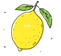 <p>limon</p>