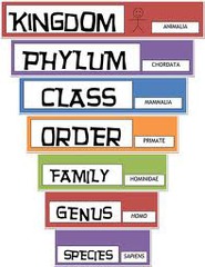 <p>Organisms that can mate and produce viable offspring.</p>