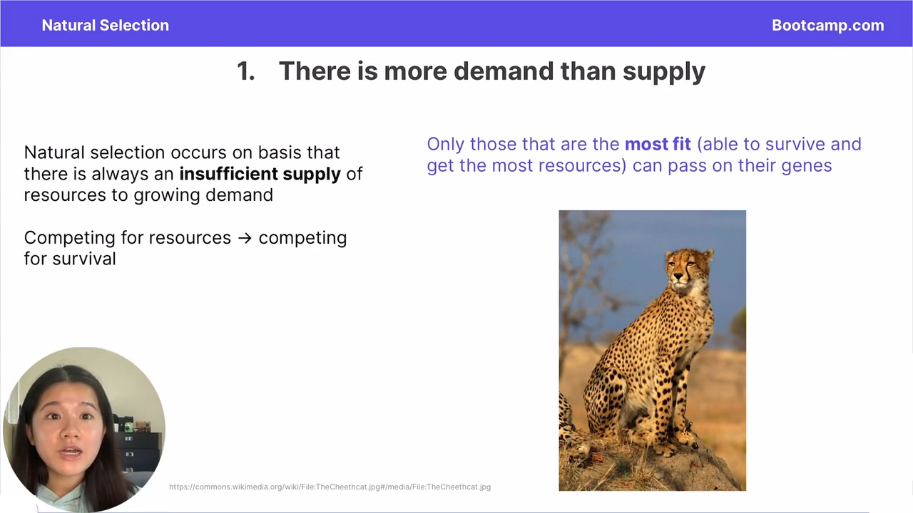 <p>Natural selection occurs on the basis that there is an insufficient supply of recources to growing demand </p><p></p><p>Only the ones that are most fit can get the recourses, and in turn pass on their genes due to surviving </p>