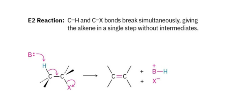<p>One step reaction, only transition states, no intermediates, everything happens together:</p><ul><li><p>Base removes H</p></li><li><p>Br leaves</p></li><li><p>Double bond forms</p></li></ul><p>All at once.</p><p>Second order reaction. Rate = k [alkyl halide] [Base]</p><p>You NEED a strong base for an E2 reaction. In an E2 reaction, the leaving group does not fall off on its own. The base cannot afford to wait. It must be aggressive enough to force its way in and pull off a proton (hydrogen) to kick-start the elimination.</p>