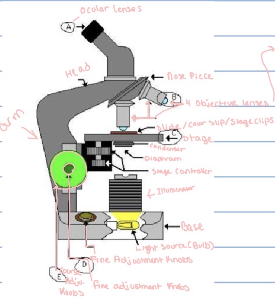 knowt flashcard image