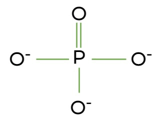 <p>You see a structure with P bonded to multiple oxygens. Identify it.</p>