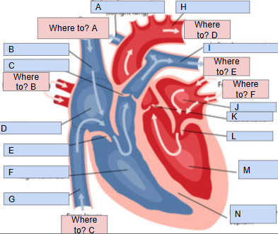 <p>What is C</p>