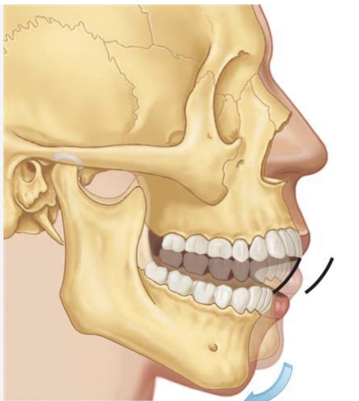 <p>Name? Muscles? Function?</p>