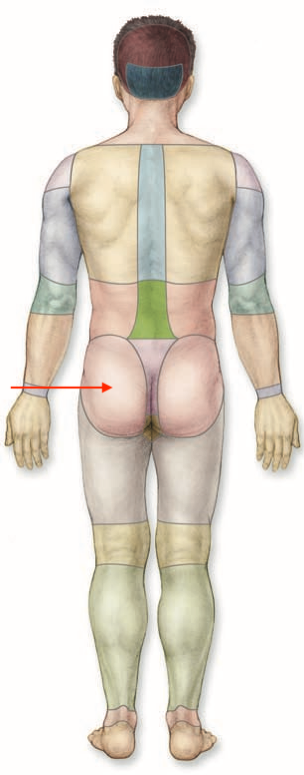 <p>what is this section called?</p>