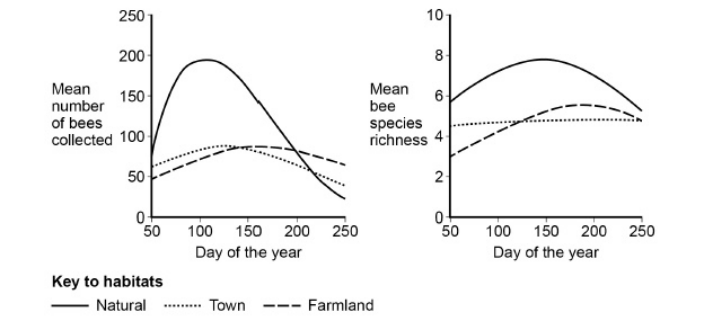 <p>Bees are flying insects that feed on nectar made in flowers. There are many different species of bee. Scientists investigated how biodiversity of bees varied in three different habitats during a year. They collected bees from eight sites of each habitat four times per year for three years. The scientists’ results are shown below in the graphs in the form they presented them. </p><p>The scientists collected bees using a method that was ethical and allowed them to identify accurately the species to which each belonged. </p><p>In each case, suggest one consideration the scientists had taken into account to make sure their method 1. was ethical. 2. allowed them to identify accurately the species to which each belonged (2) </p>