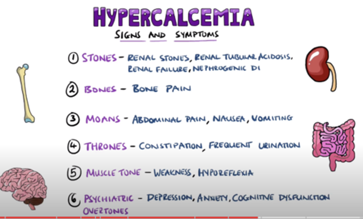 <p>too many play ground monitors meaning nothing is moving causing everything to get plugged up</p><ul><li><p>lethargy</p></li><li><p>anorexia</p></li><li><p>nausea</p></li><li><p>constipation</p></li><li><p>polyuria</p></li><li><p>thirst</p></li><li><p>kidney stones</p></li></ul><p></p>