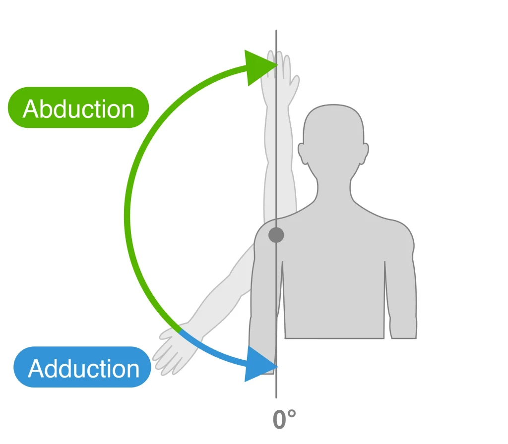 <p>abduction + aduction</p>