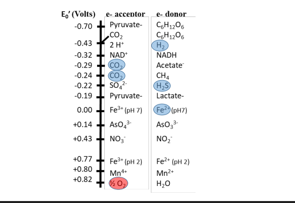 <p>Iron Oxidizing Bacteria 4Fe2+ + O2 + 4H+ → 4Fe3+ + 2H2O</p>