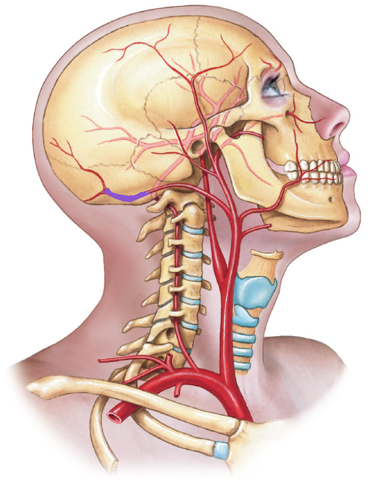 <p>diagram </p>