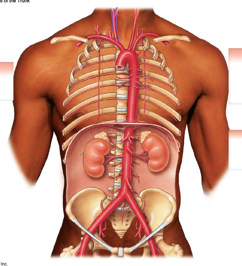 <p>diagrams </p>