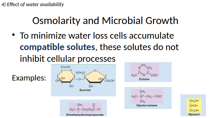 <p>compatible solutes, these solutes do not inhibit cellular processes</p>