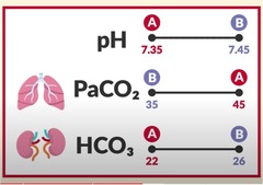 <p>draw the graphic that can be used to help solve ABGs</p>