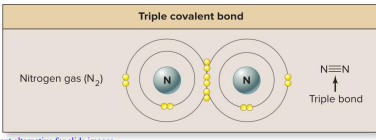 <p>Triple covalent bond</p>