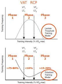 <p>Classic lactate model </p><ul><li><p>Much training between thresholds</p></li><li><p>Moderate intensity focus</p></li><li><p>Common in patients/beginners</p></li></ul><p> Polarized model </p><ul><li><p>Mostly low intensity + small amount very high intensity</p></li><li><p>Little moderate training</p></li><li><p>Common in endurance athletes</p></li><li><p>Helps reduce injury and fatigue risk</p></li></ul><p></p>