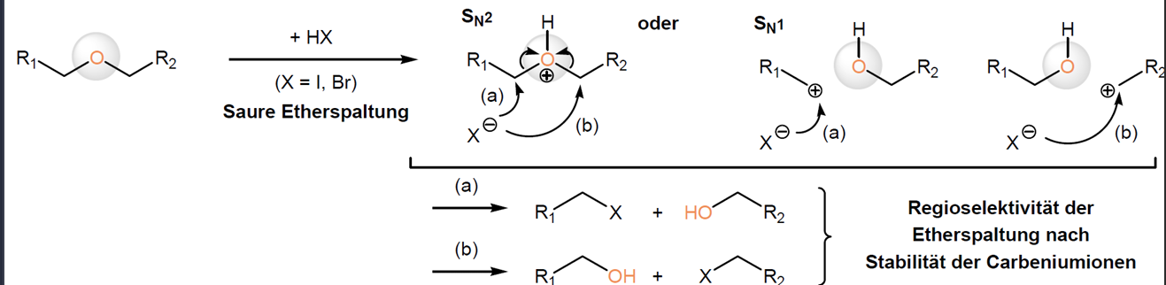 <ul><li><p>starke Mineralsäure (IH oder BrH) reagiert mit Ether (über SN1 oder SN2)</p></li><li><p>gespalten zu Alkohol und Halogenalkan</p></li><li><p>→ eine funkt. Gruppe bekommt Halogen → halogenalkan</p></li><li><p>→ andere funkt. Gruppe an der auch O hängt, bekommt H → Alkohol</p></li></ul><p></p>