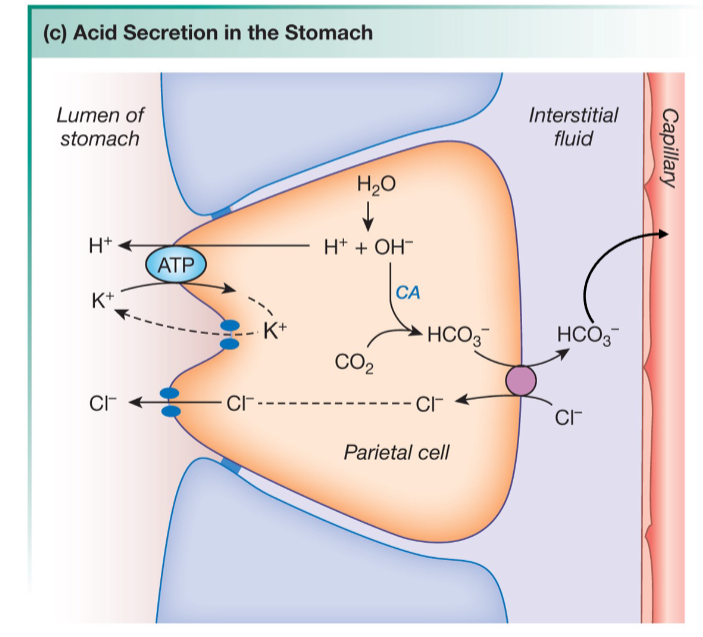 <p>Remember what H+ is…</p>