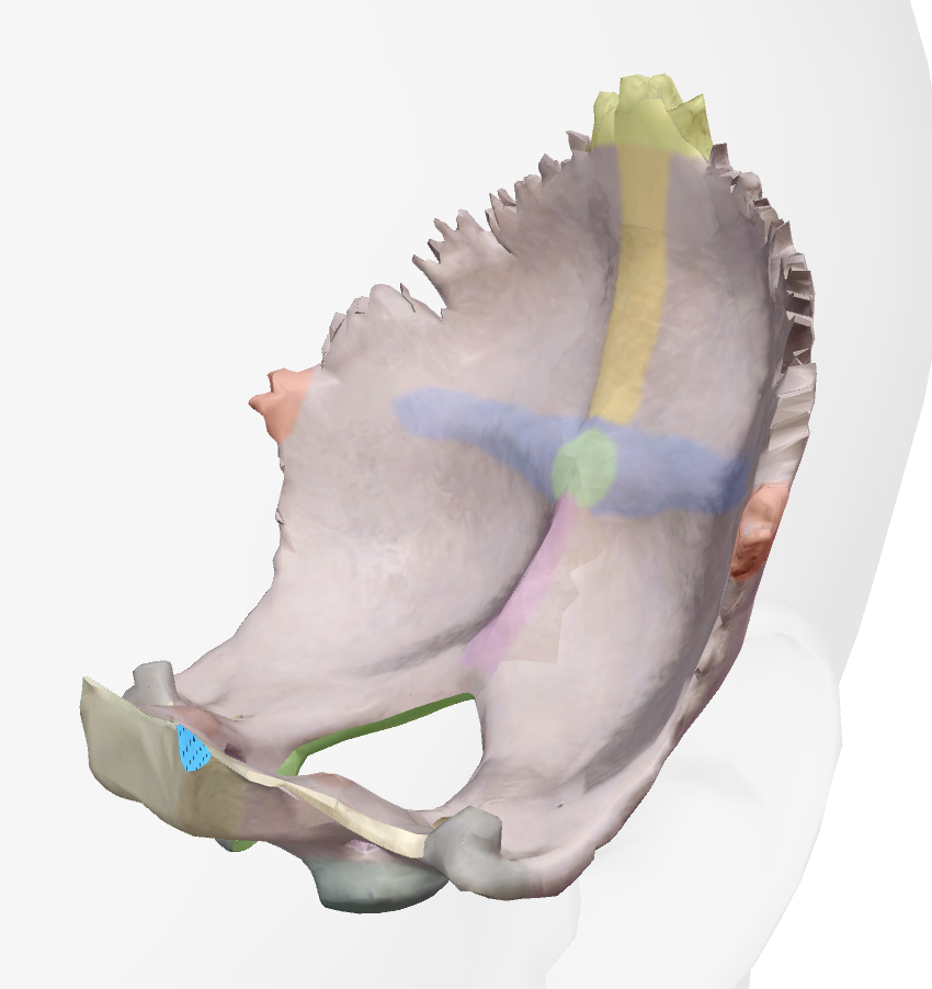 term image