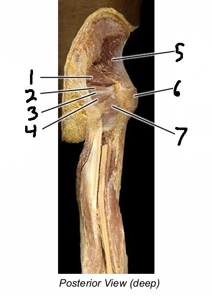 <p>2</p>