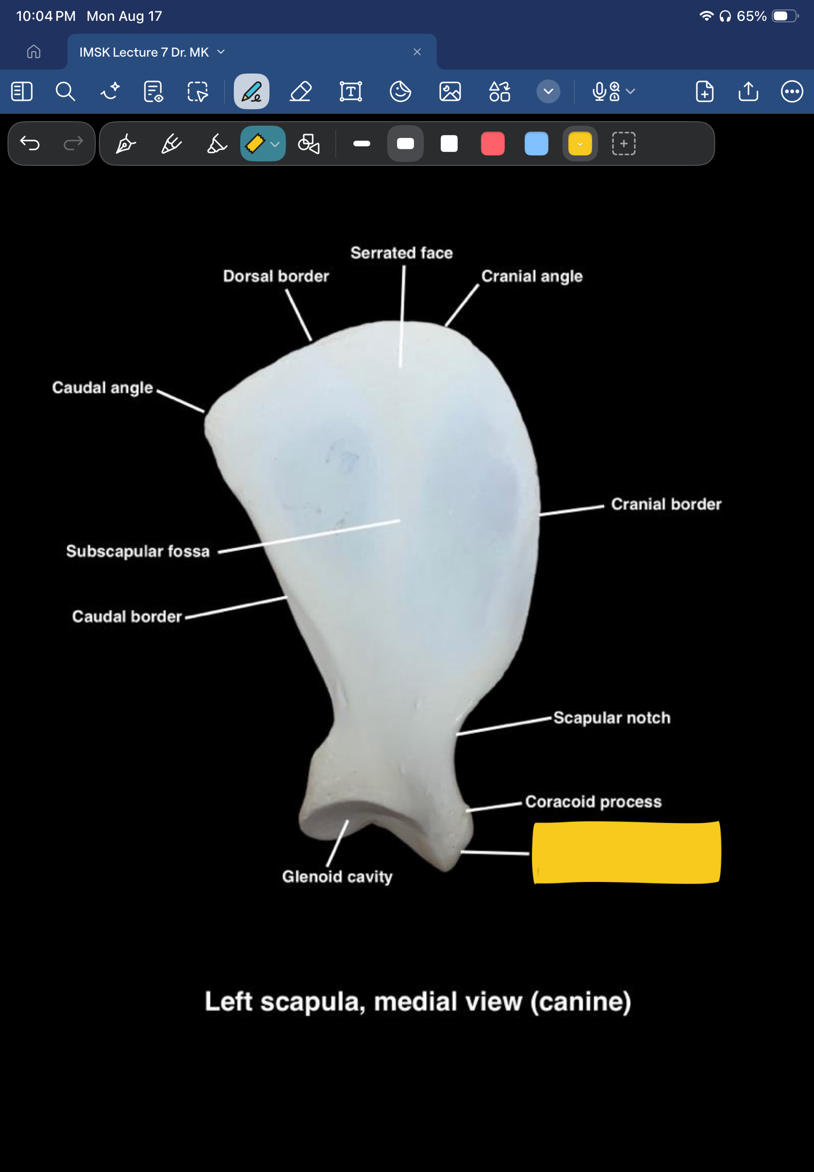 term image