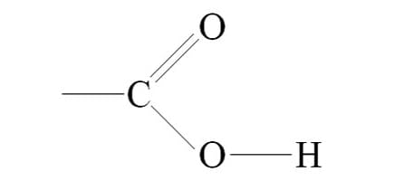 <p>Carboxyl Group </p>
