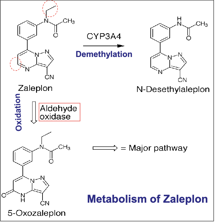 <ul><li><p>full agonist for type 1 benzo alpha 1 receptor</p></li><li><p>good at sleep initiation→ not sleep maintenance</p></li><li><p>no significant rebound insomnia</p></li><li><p>all metabolites are inactive(demethylation, oxidation(major pathway))</p></li></ul><p></p>
