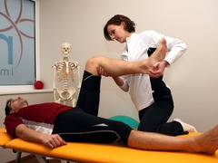 <p>physical therapist</p>
