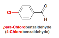 <p>positioning of substituents on a benzene ring that are directly opposite each other, specifically at the 1,4-positions. </p>