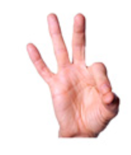 <p>palm facing out pointer finger and thumb touch</p>