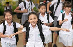 <p>(n): học sinh tiểu học</p>