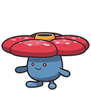 <p>Giflor</p>