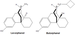 <p>What structural feature is characteristic of morphinans (e.g. levorphanol, butorphanol, and dextromethorphan)?</p>