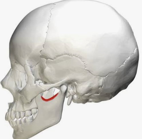 <p>What is this?</p>