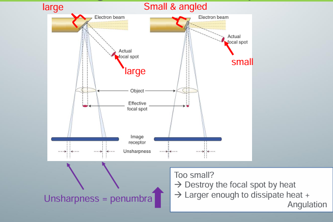 <p>-focal spot: target where a beam of fast-moving electrons hits to produce x rays from the x-ray unit, has a specific size and angulation in relation to the electron beam to ensure efficient x-ray production and correct projection geometry, sits in copper stem to help dissipate heat</p><p>-need a small focal spot at a specific angle</p><p>-small focal spot increases the sharpness of the image and decreases the penumbra</p><p>-if focal spot too small, though, the heat can destroy the focal spot and the life of the x-ray tube will be shortened</p><p>-actual focal spot is a bit bigger than the effective, projected focal spot that is used</p><p>-actual focal spot placed at an angle to project a smaller focal spot so actual will have a large enough area to dissipate the heat and produce sharp images</p>