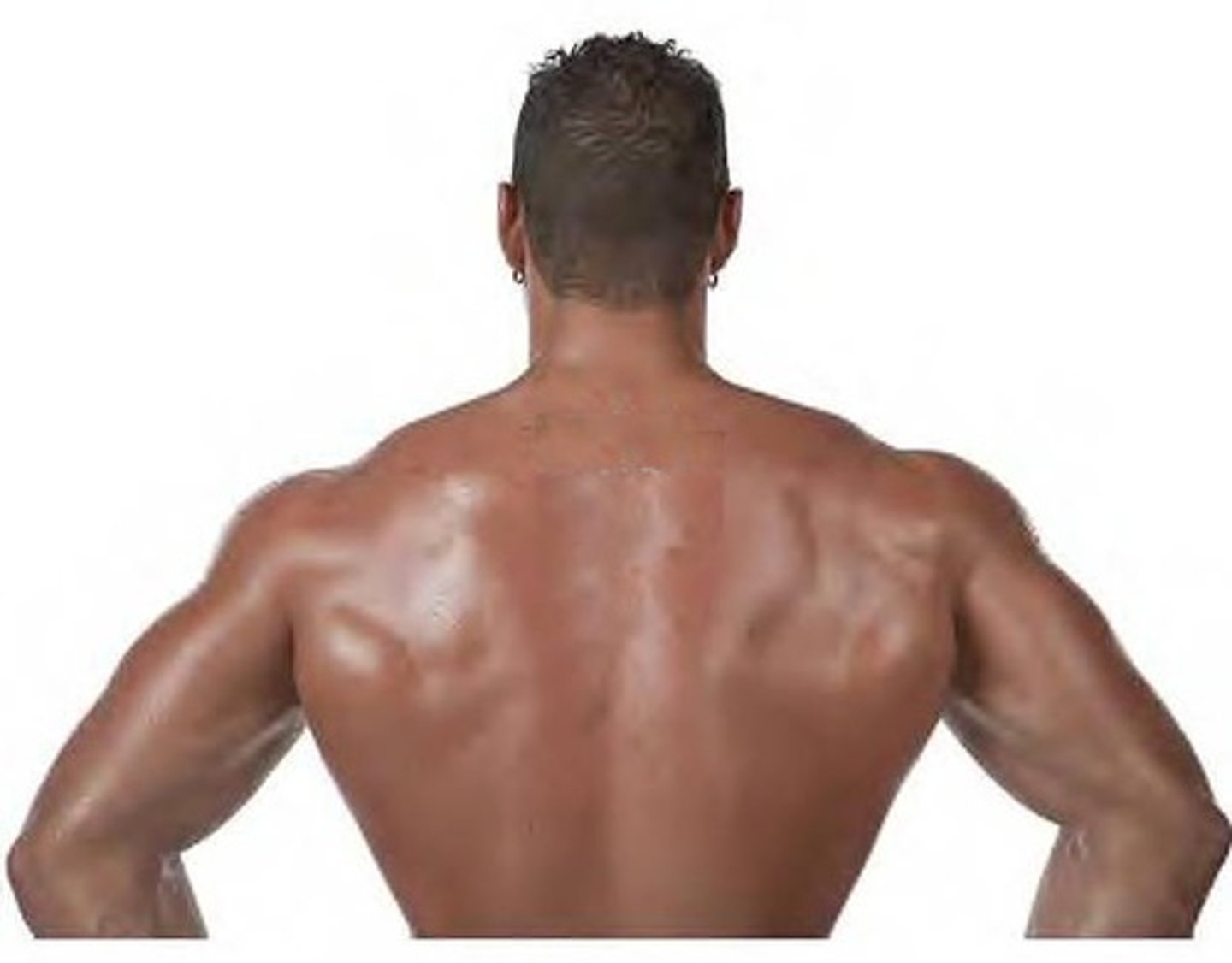 <p>(descriptive English) vai rộng Ví dụ: My brother has broad shoulders.</p>