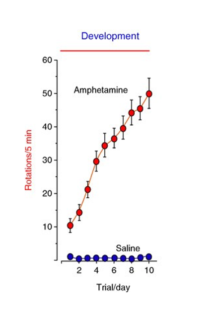 <ul><li><p>reverse tolerance</p></li><li><p>increase in a drug effect following repeated use</p></li><li><p>psychostimulants do this to the motor system</p></li></ul><p></p>