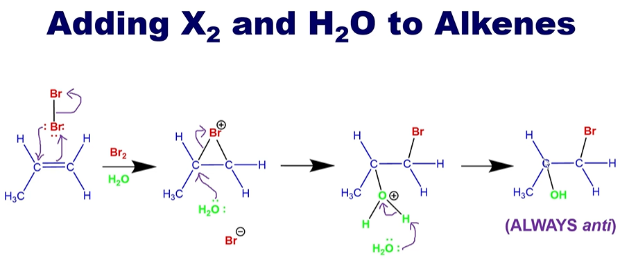 <p>Since H2O is the solvent, there is SO much more of it in the system</p><p></p><p><strong>NO REARRANGMENTS DUE TO RINGED HALOGEN INTERMEDIATE</strong></p>